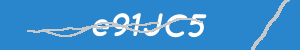 Introduzca el texto que aparece en la imagen